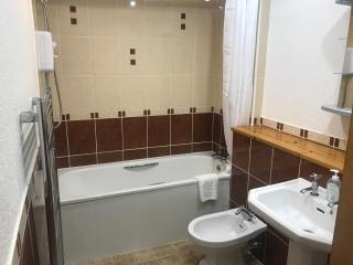 Fantastic central 3 double bedrooms 2 bathrooms garden apartment sleeps 6 - Edimburgo - 5