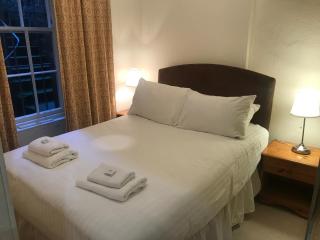 Fantastic central 3 double bedrooms 2 bathrooms garden apartment sleeps 6 - Edimburgo - 3