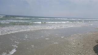 Apartamente Olivia - Mamaia Sat/Năvodari - 6