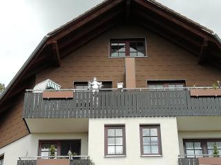 Jagdschlösschen-Harz - Bad Sachsa - 4