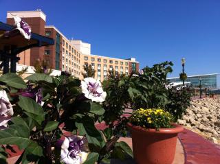 Grand Harbor Resort and Waterpark - 2