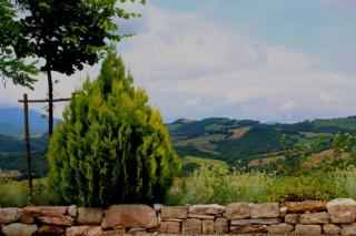 Rustic Country House - Smirra - 2