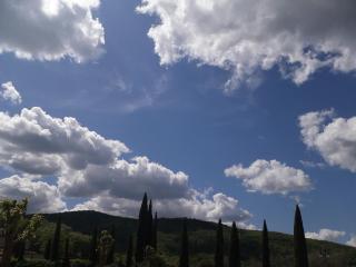 Poggio Cennina Resort - Bucine - 3