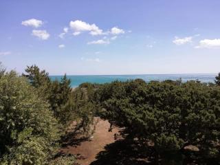 Cedrus and Sea, beachfront house, Gennadi, Rhodes - Gennadi - 9