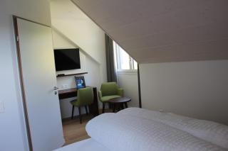 Seehotel Delphin - Meisterschwanden - 1