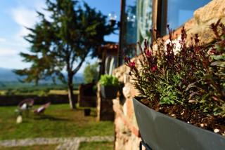 Los vagones - Vatopedi - 4