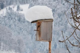 Appartements Christine - 2
