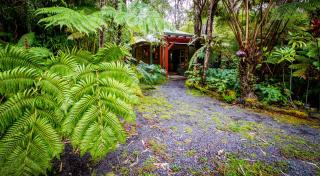 Volcano Mist Cottage - Volcano - 5