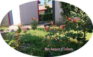 Résidence Mes Amours d'Enfants - Les Villas du Lac - Soustons - 1