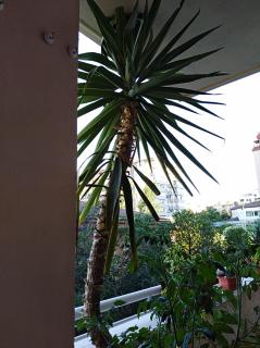 APARTAMENTO PRÍNCIPE - Cáceres - 3