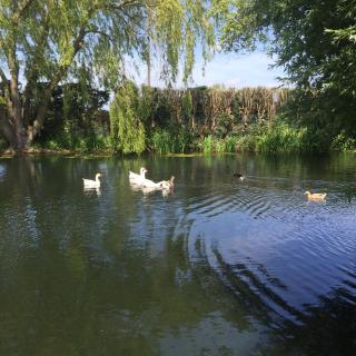 Au coeur de la Flandre - Noordpeene - 1