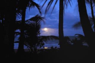 Sejala Beach Huts - Mission Beach - 1