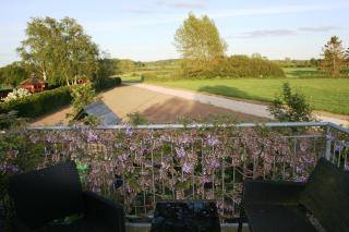 Guldbergs Guesthouse - Kerteminde - 6