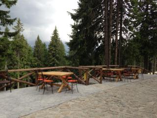 Cabana Haiducilor - 4