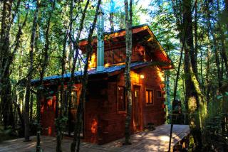 Cabañas Bosque Milenario - Coñaripe - 1