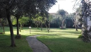 Casa vacanze "Gli Ulivi" Apt 1 - Matzaccara - 2