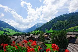Gstaaderhof - Active & Relax Hotel - Gstaad - 6