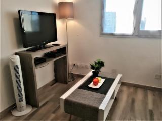 T2 Centre Ville Place Méditerranée - Perpignan - 9