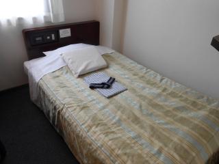 Niigata Terminal Hotel - Niigata - 9