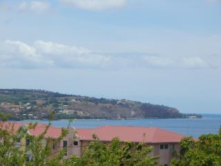 La kay dédé avec piscine - Saint-Pierre - 6