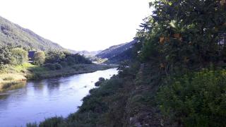 Starvill Pension - 6