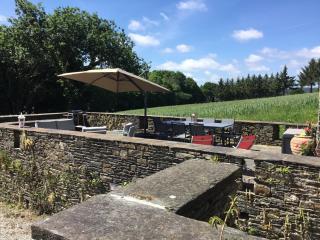 MANOIR DE BOTMINY LAC de GUERLEDAN - 5