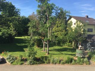 Ferienweingut Willems - 5
