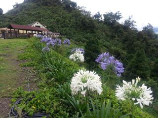 Yun Waterfall Valley Homestay - Fanlu - 1