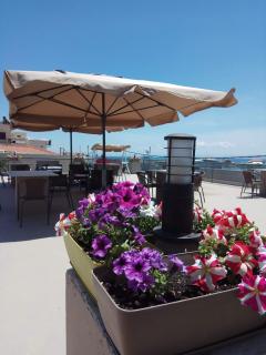 City Point Chios - Chio (Chios) - 9