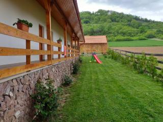 Villa Rustica - Gornea - 2