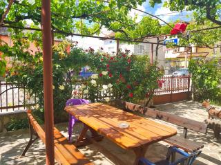 Delieva House - Ognyanovo - 2