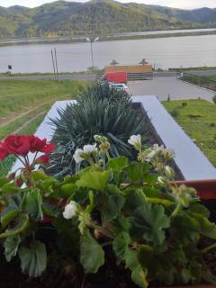Villa Rustica - Gornea - 4