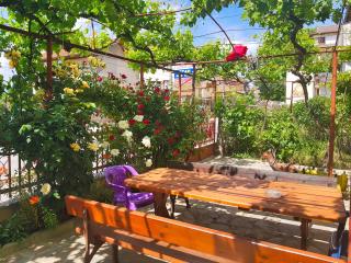 Delieva House - Ognyanovo - 5