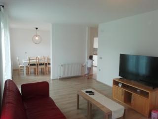 CARNIOLAN HOUSE - GORENSKA HIŠKA - Radovljica - 7