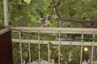 2-bedroom in heart of Odessa city centre - Odesa - 1