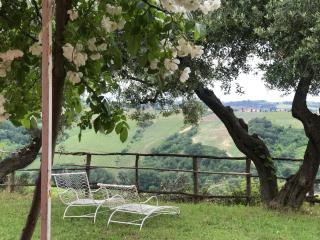 Agriturismo Campoletizia - 7