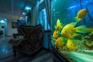 Leoton Chernivtsi - 9