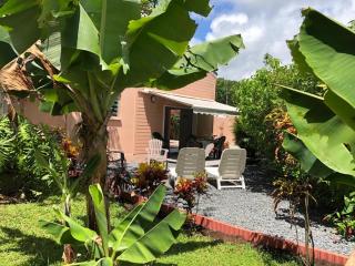 Cap Colibri - Petit-Bourg - 9