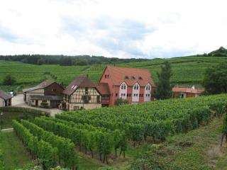 Studio chez le vigneron - Hunawihr - 1