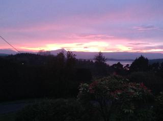 Atlantic Shore B&B - Bantry - 3