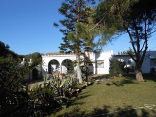 Finca Malyma with 2 villas and 1 apartment, beach front 10,000m2 botanic garden - Zahora - 2