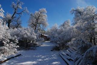 La Ruta de Los Volcanes - Las Trancas Chillán - Las Trancas - 3