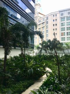 101 Newport Boulevard C1 - 5