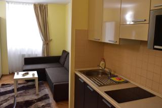 Apartment Vikroria - Hálkova 5 - 7