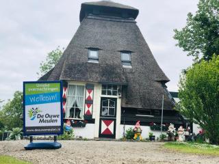 De Ouwe Meulen - Bleskensgraaf - 8