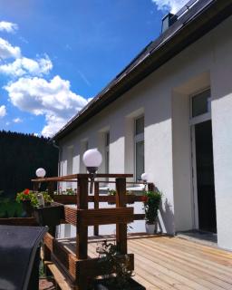 Greizer Kammhütte Gaststätte & Pension - Klingenthal - 2