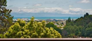 Nelson City Escape - Nelson - 9