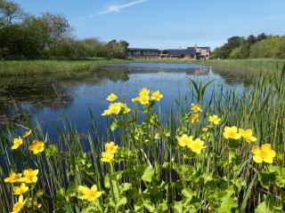 Strandhotel de Horn - Callantsoog - 4