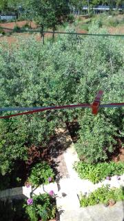 Apartment Bella Vista Park view - 5