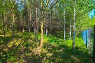 Villa Żelazowa Wola - 3